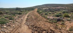 Road construction project 4